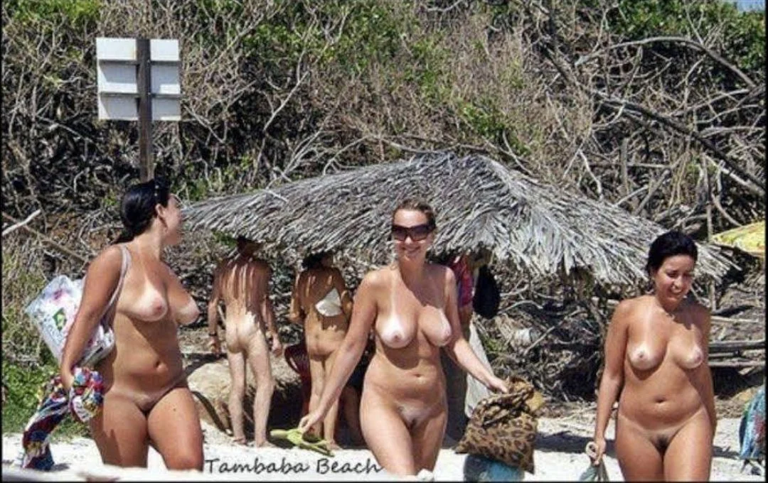 Praia pt image 6