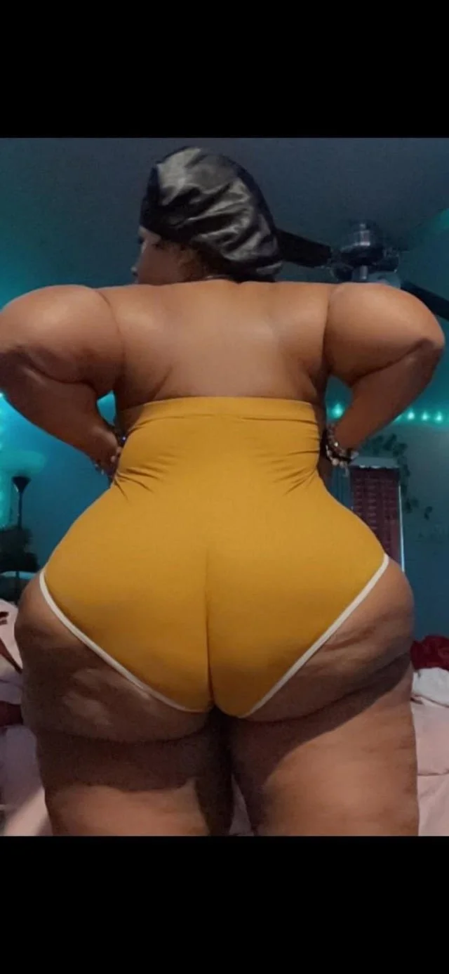 Katt image 5