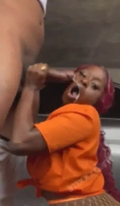 EBONY MILF CUMPILATION cover image