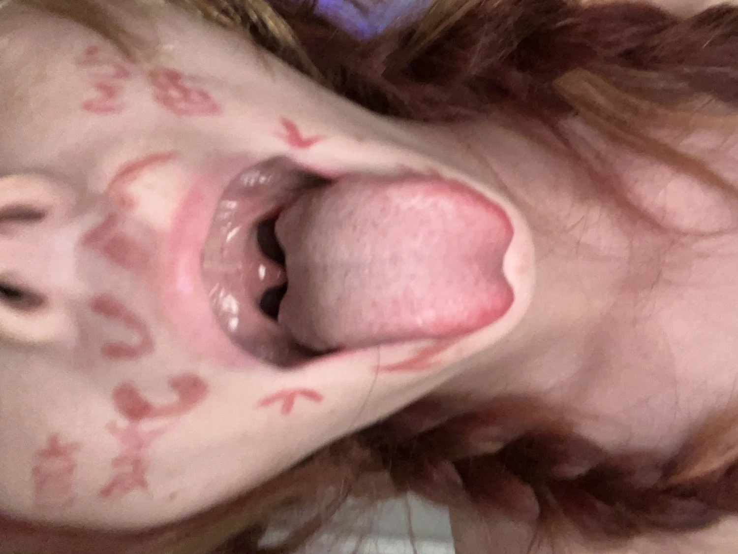 Brainless pig exposed and labeled image 6