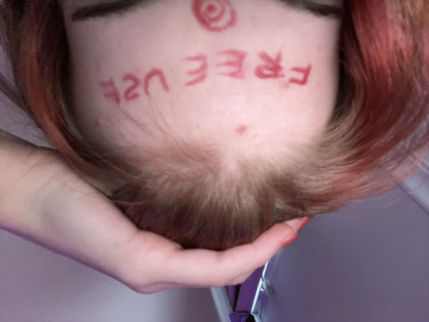 Brainless pig exposed and labeled image 8