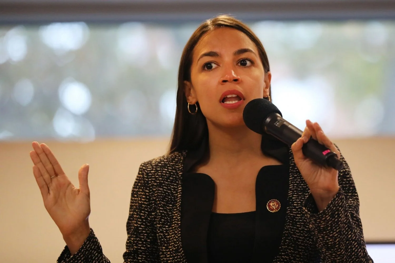 Politician AOC image 33