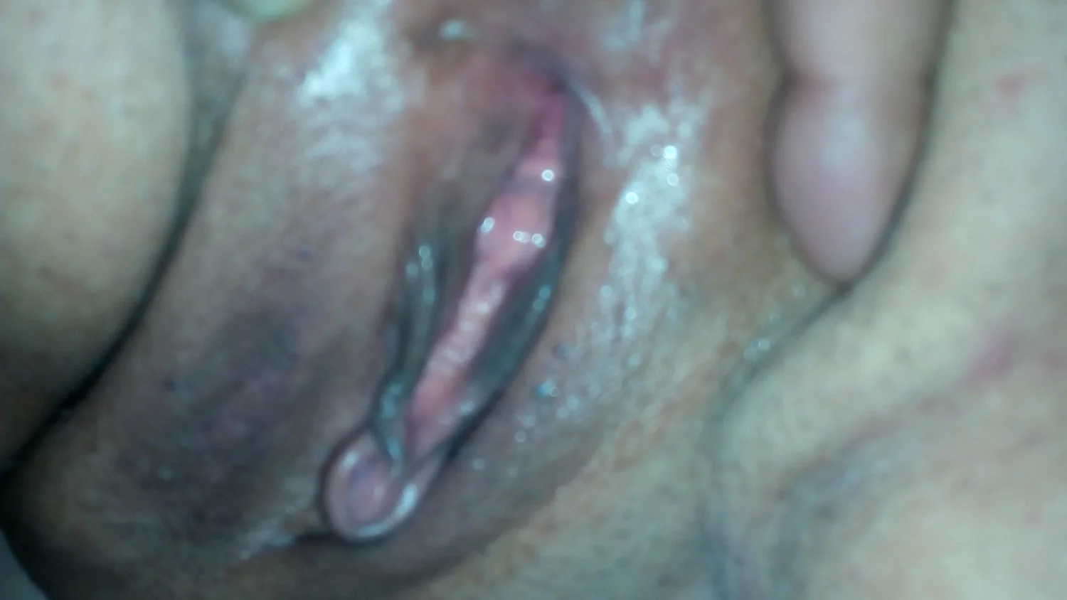MyR 4 image 48