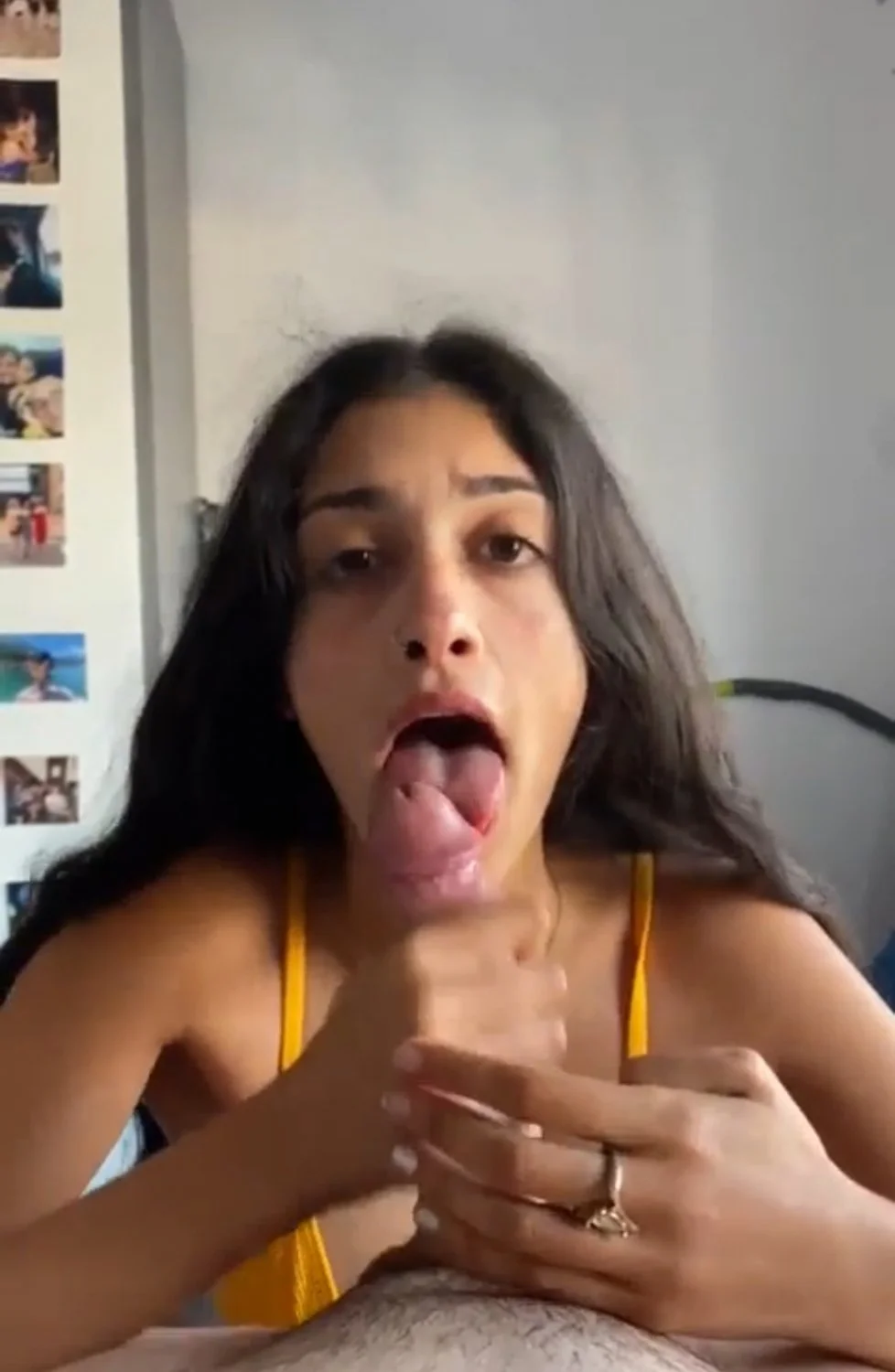 Boqueteira image 10