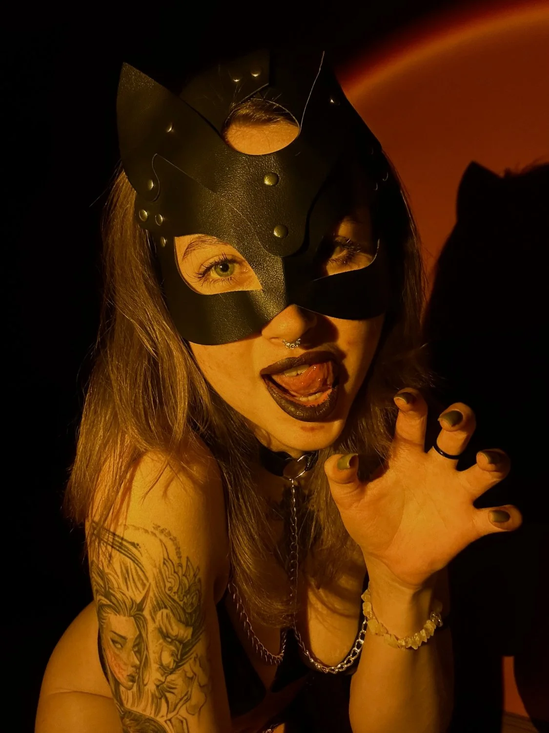 Hot Lingerie Cat Girl Photo Set w/Videos image 5
