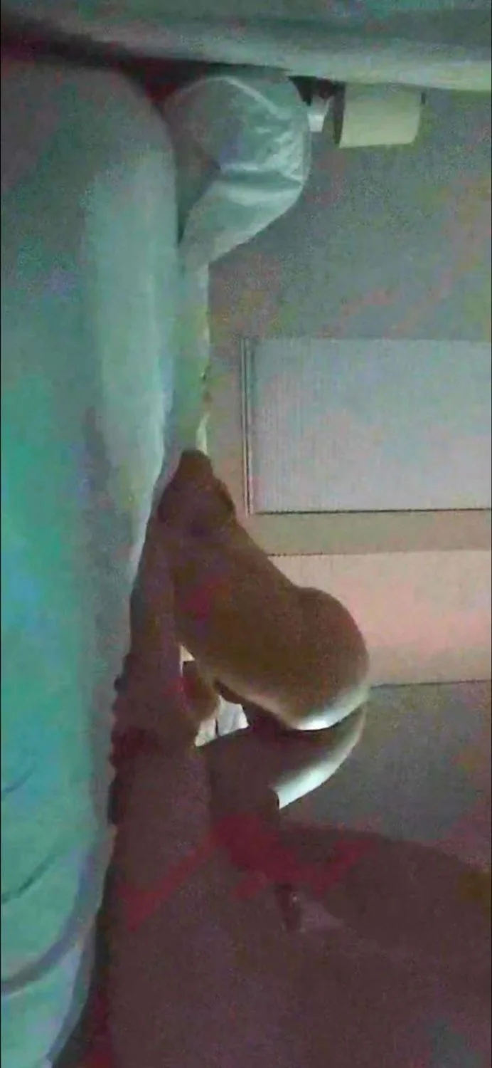 Hotwife leaked by husband image 11