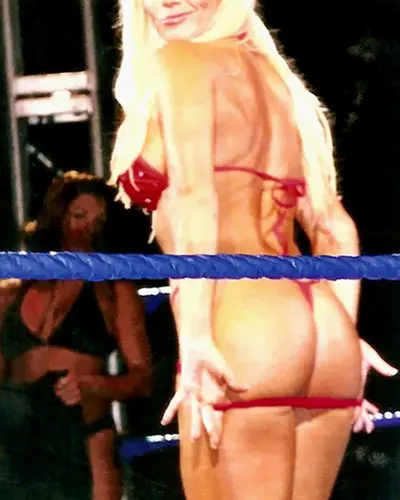 Torrie Wilson cover image
