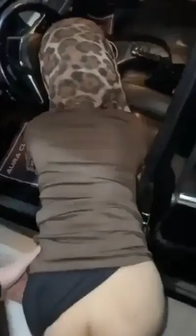 hijab doggie in the car cover image