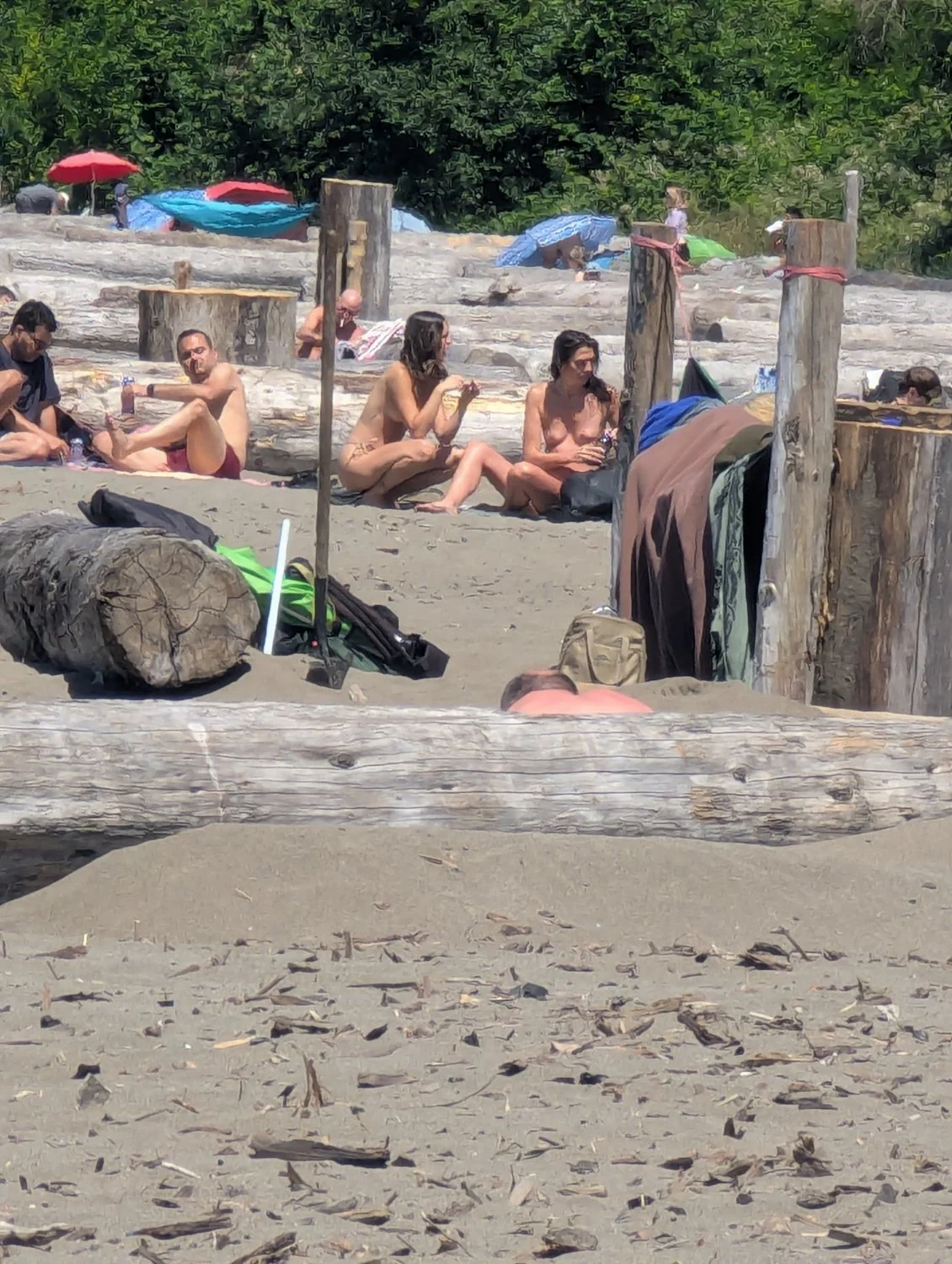 Nudist beach image 10