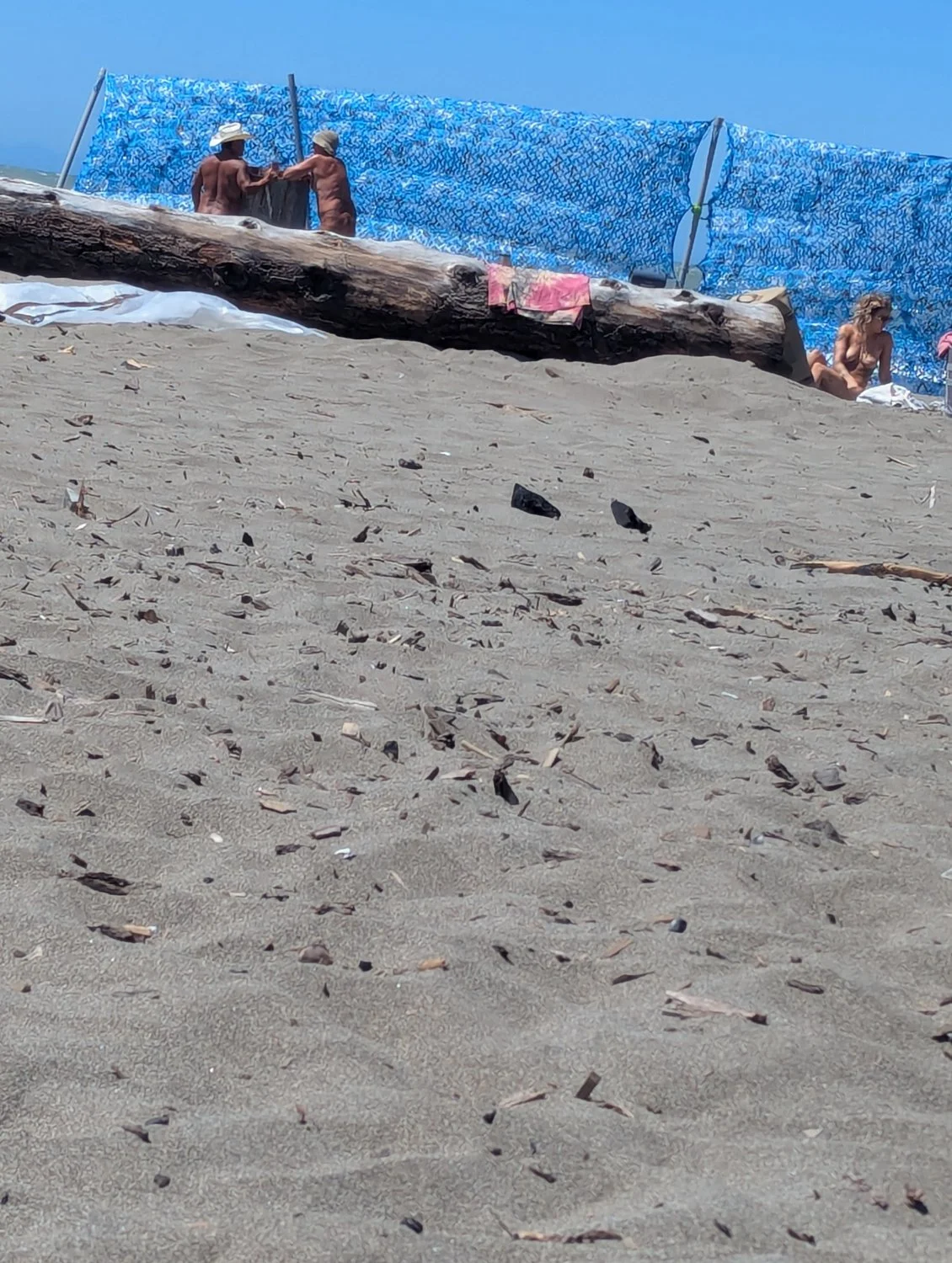 Nudist beach image 12