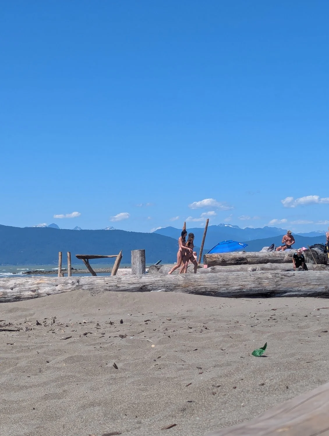 Nudist beach image 2