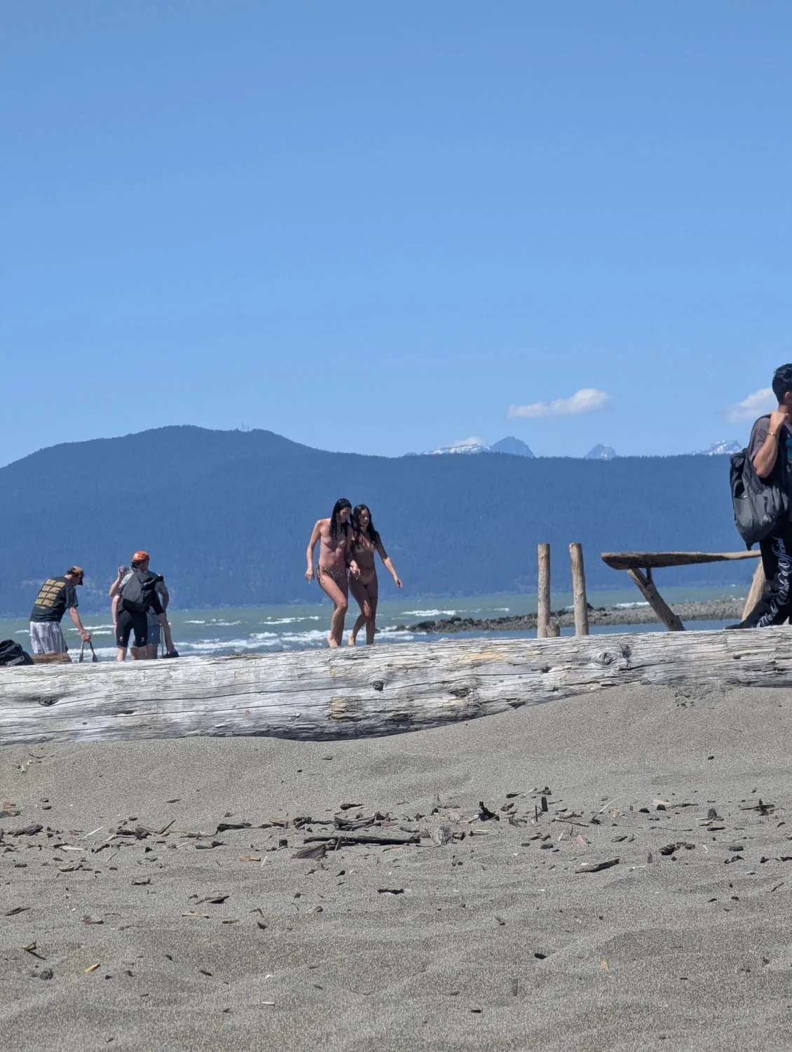 Nudist beach image 3