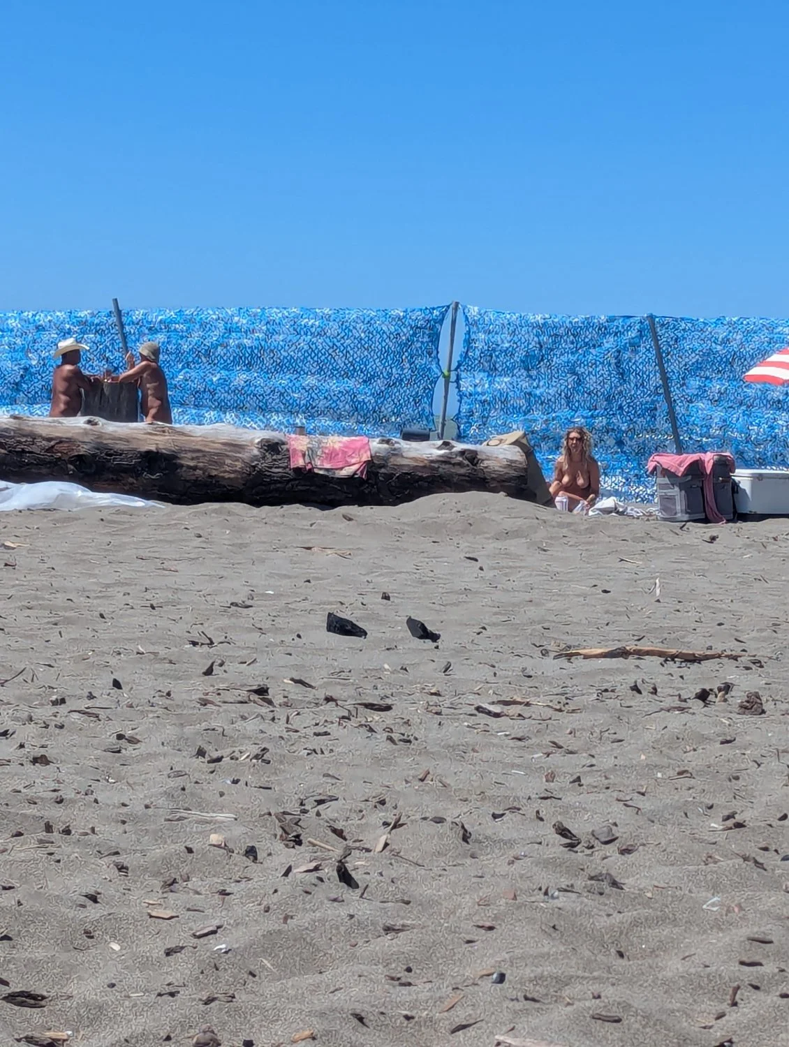 Nudist beach image 4