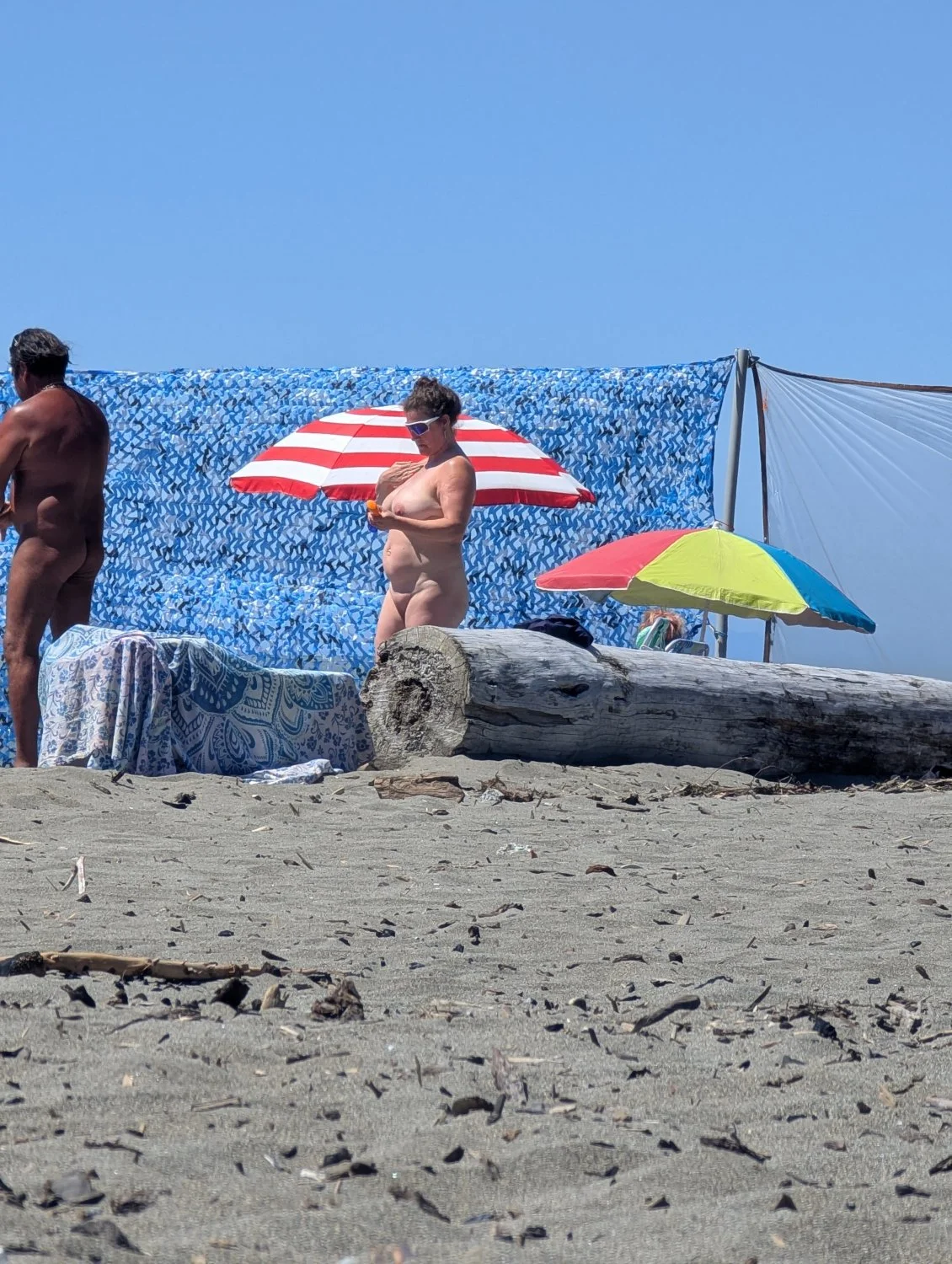 Nudist beach image 9