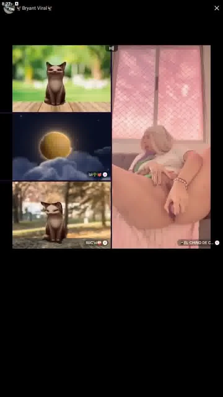 tiktok live latinas solo play image 1