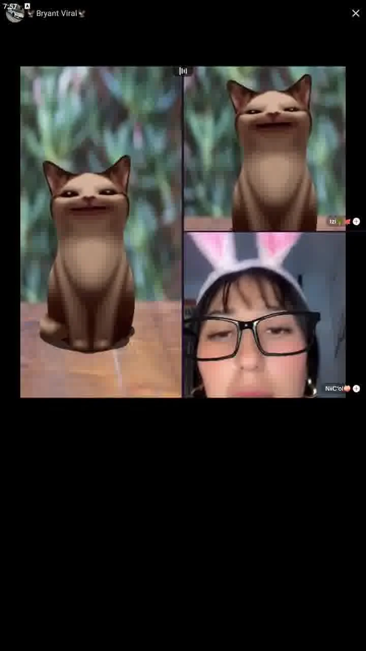 tiktok live latinas solo play image 4