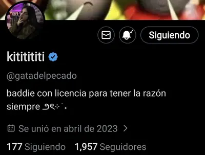 putita chilena cover image