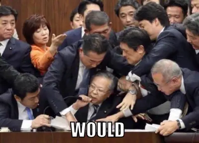 Would. cover image