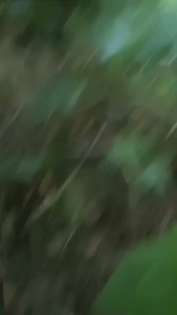 🔞 Sexy small tits wild squirting naked wet pussy 🍑💦 OF now image 3