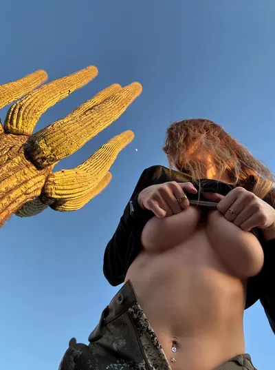No trip is complete without a tits flashing cover image