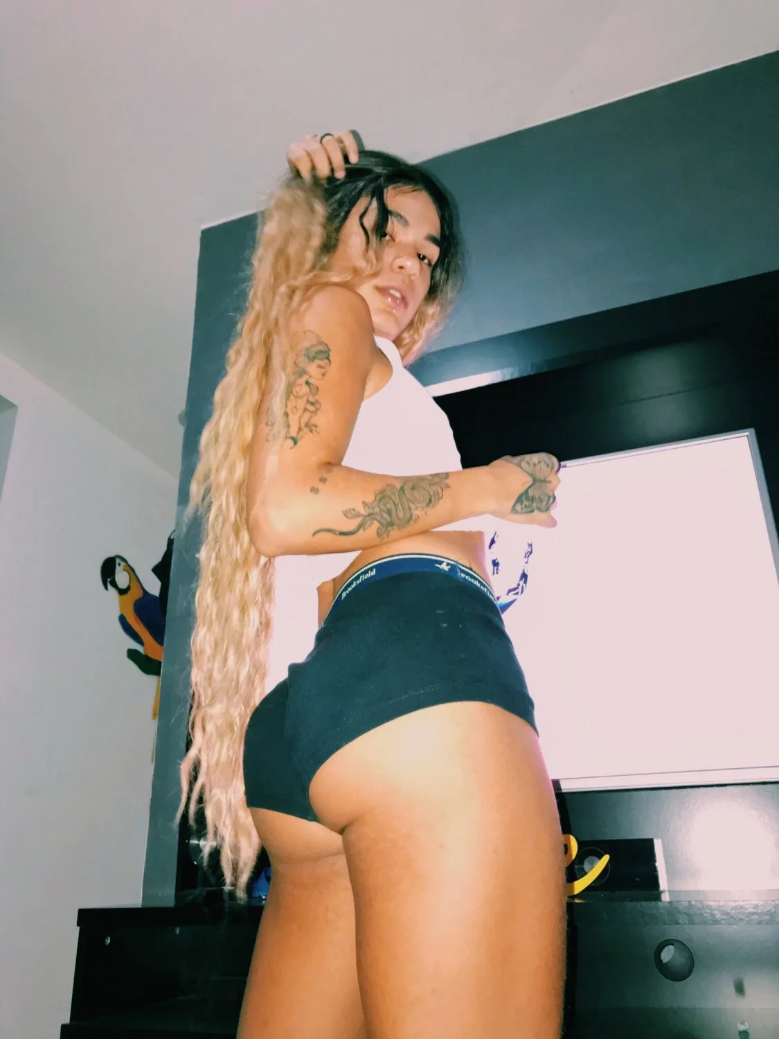 Ts Aisha sexy 1 image 41