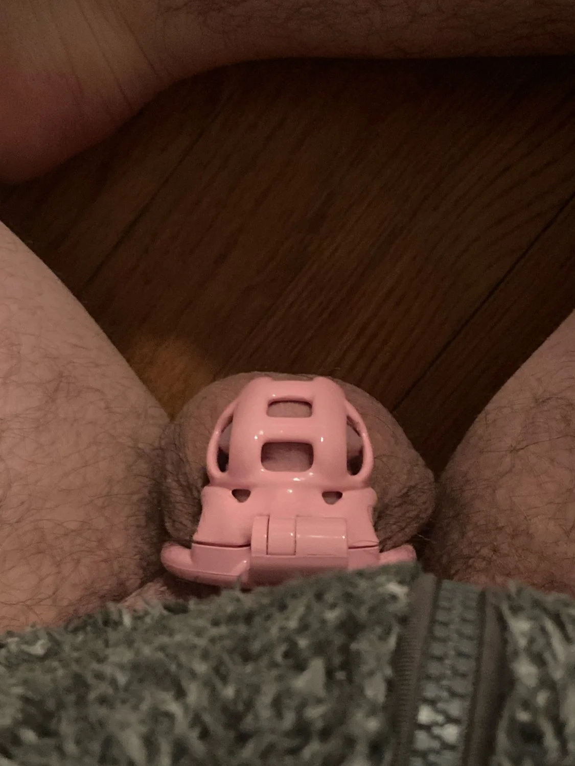 caged pussy free loser main image