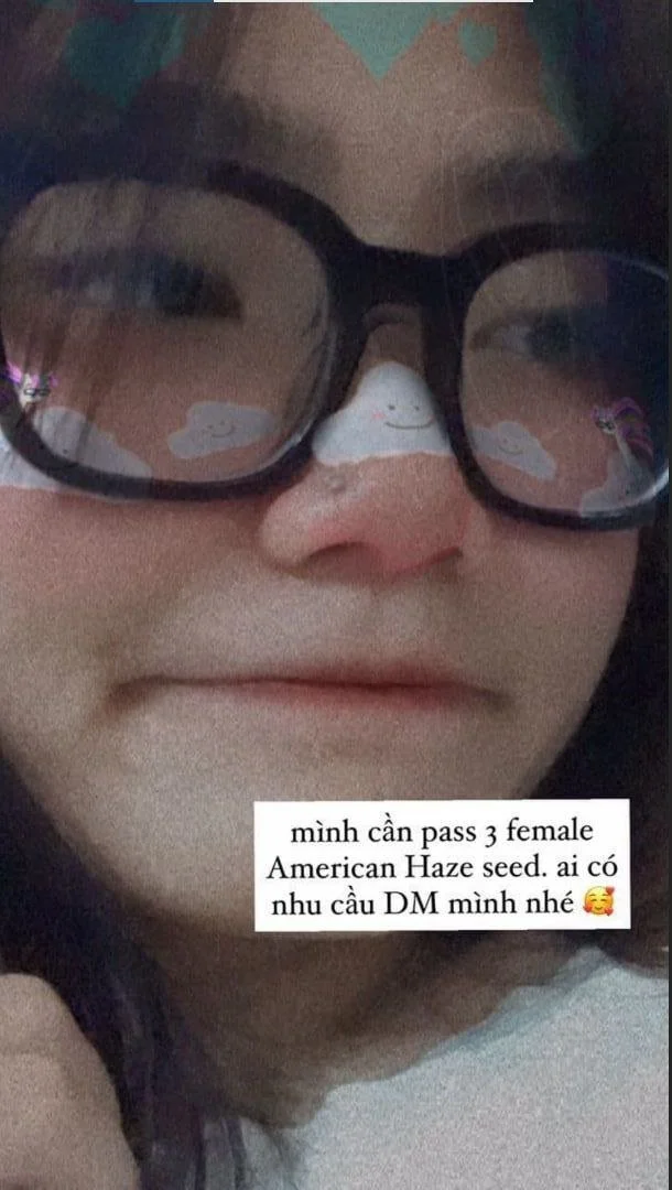 -bé mèo image 15