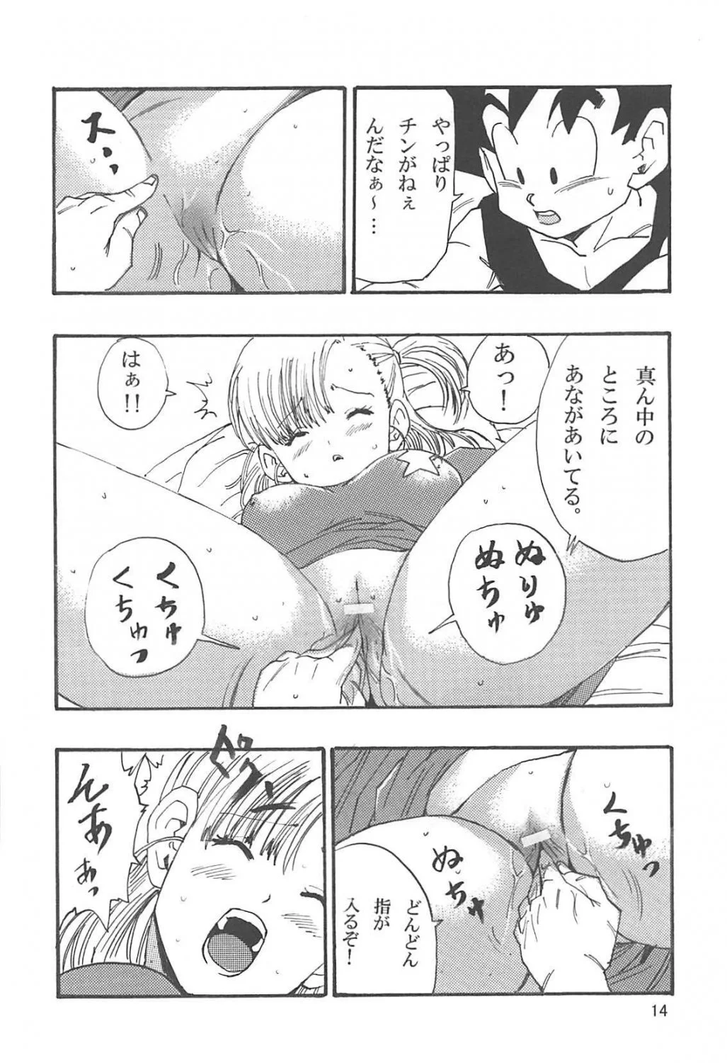 Bulma HQ 39 image 16