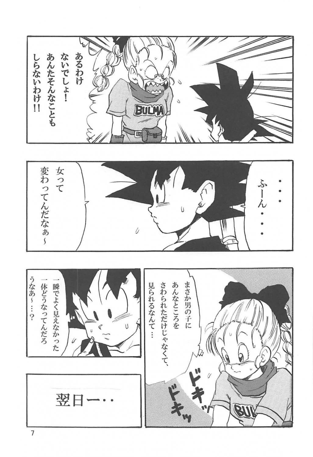 Bulma HQ 39 image 18