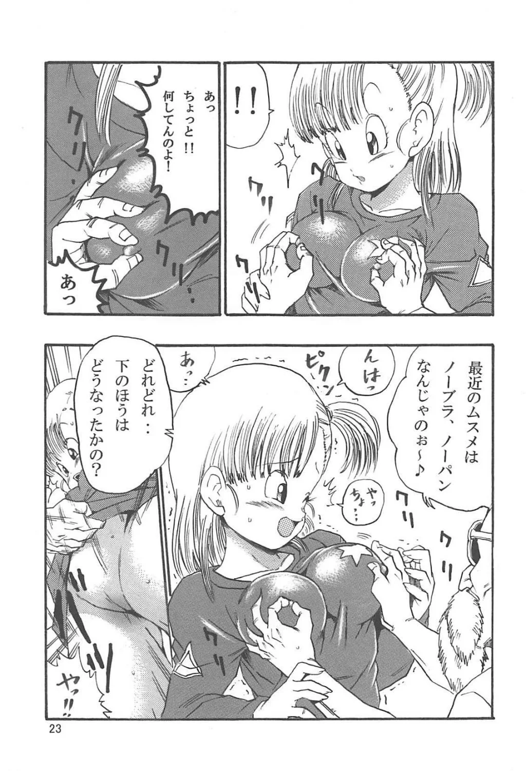 Bulma HQ 39 image 25