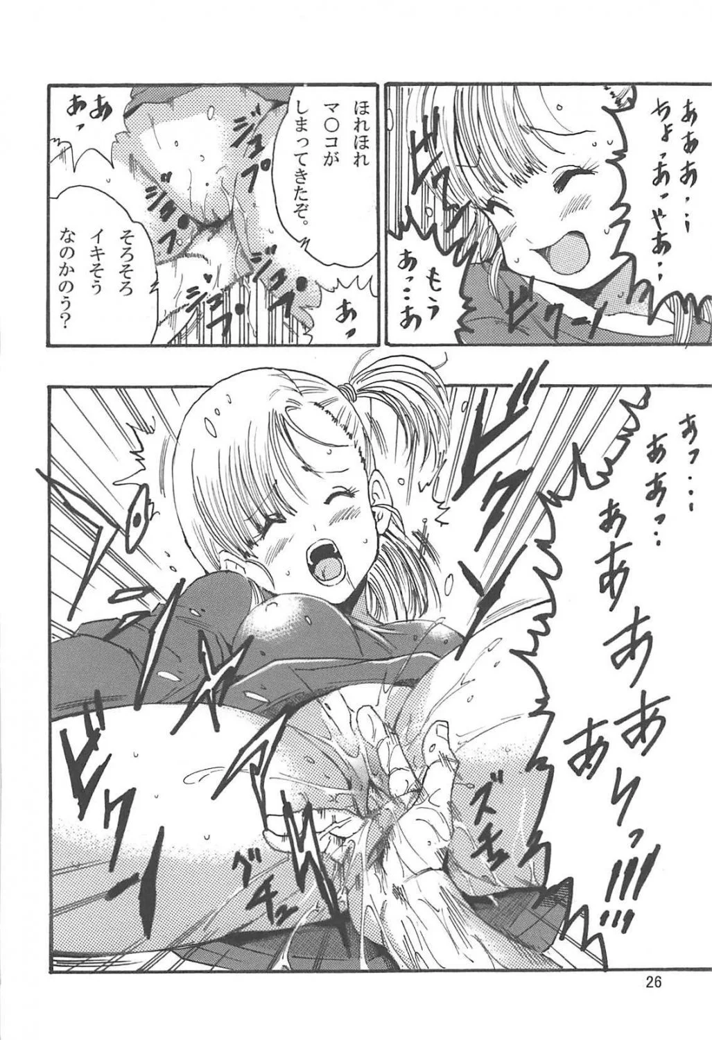 Bulma HQ 39 image 26
