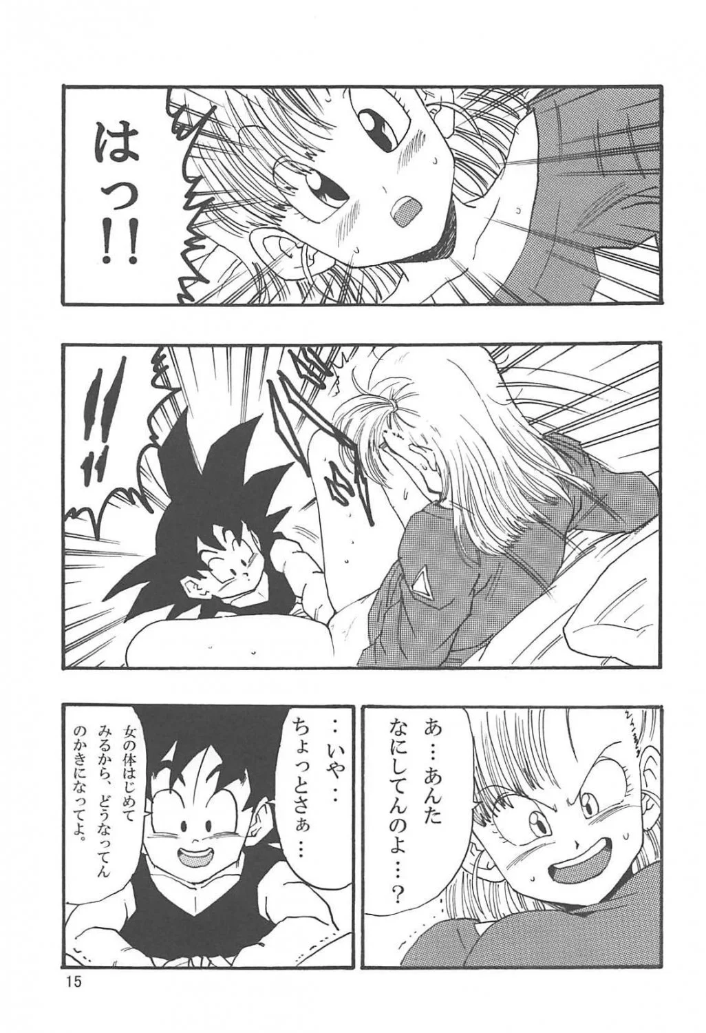 Bulma HQ 39 image 8