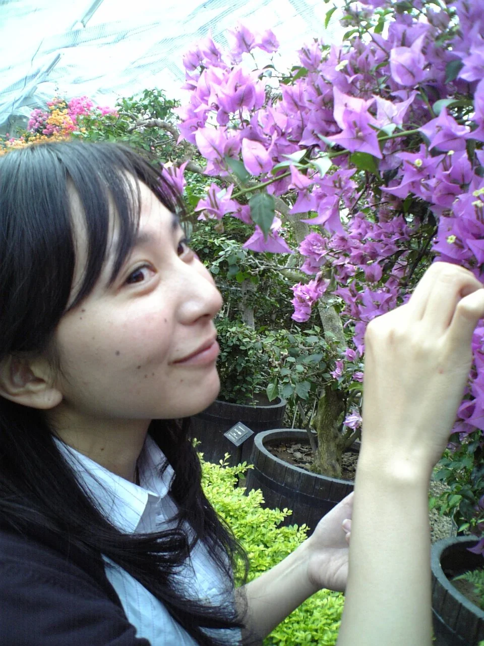 Japanese mistress Akiko pt-1 image 19