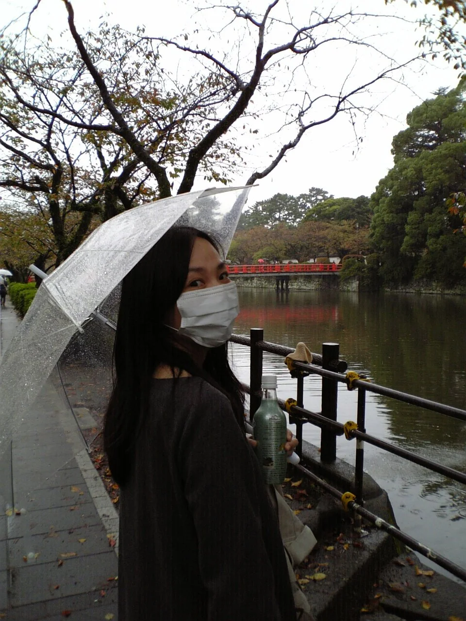 Japanese mistress Akiko pt-1 image 9