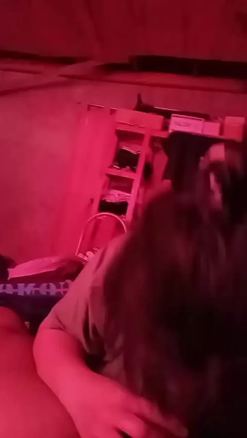avisen si quieren mas main image