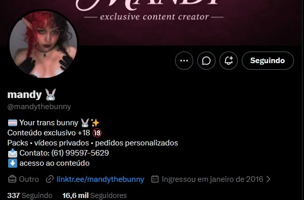 safadinha trans do twiter image 6