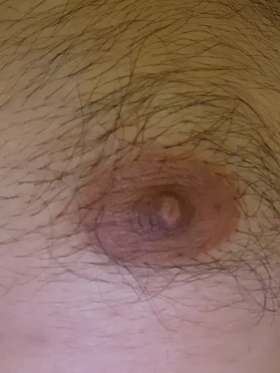 My indian wife's hair nipple cover image