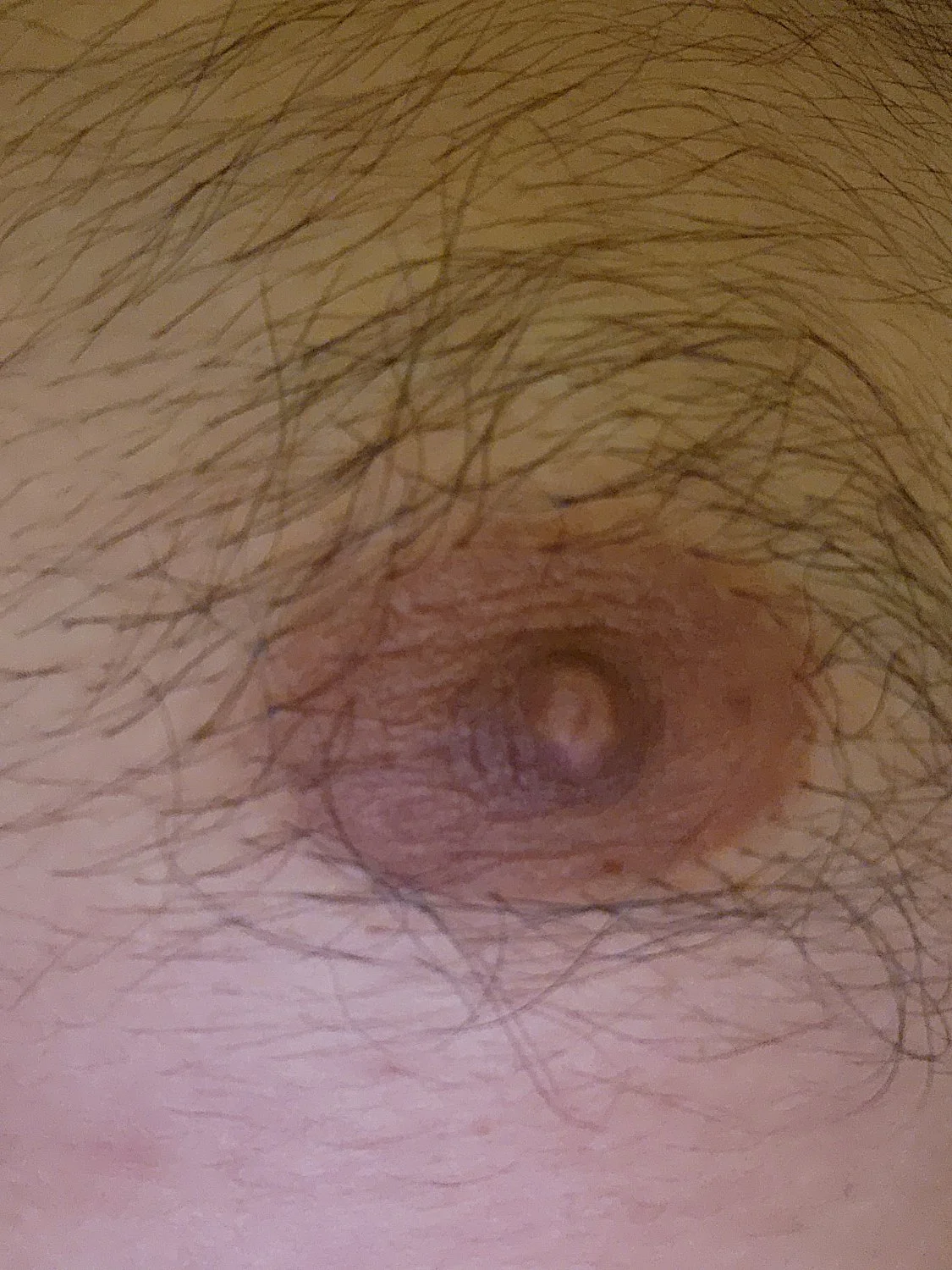 My indian wife's hair nipple main image
