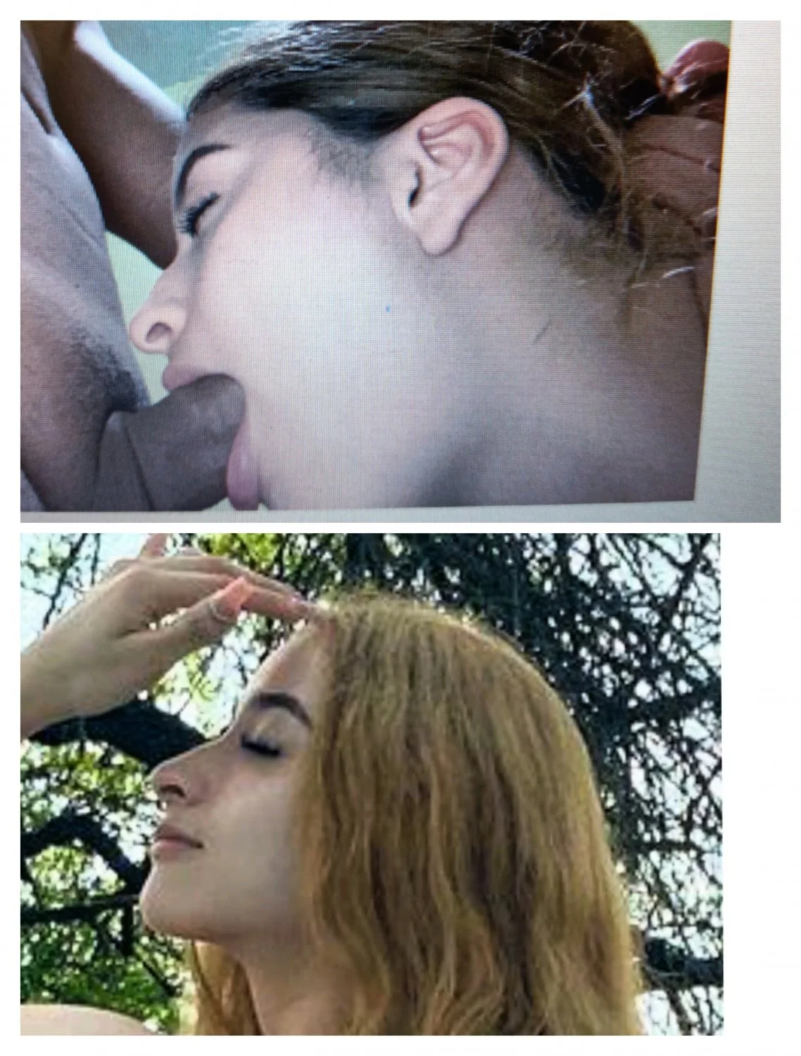 Cath image 12