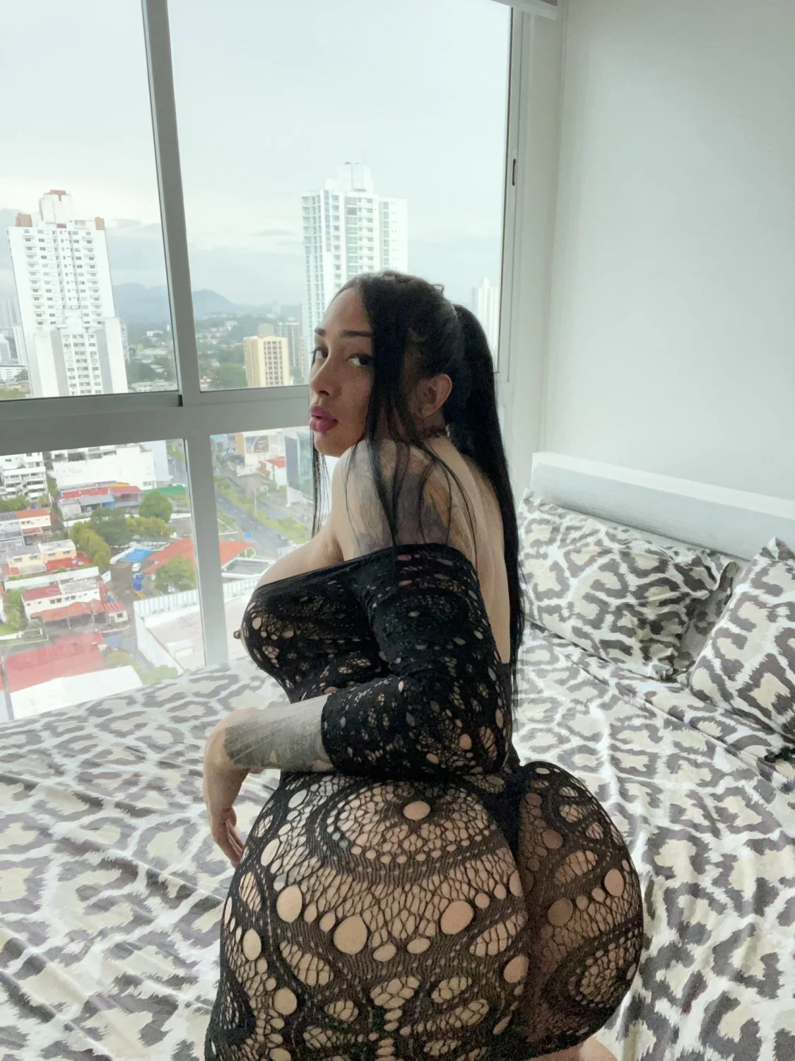 🇵🇦 SH3R109 trans image 28