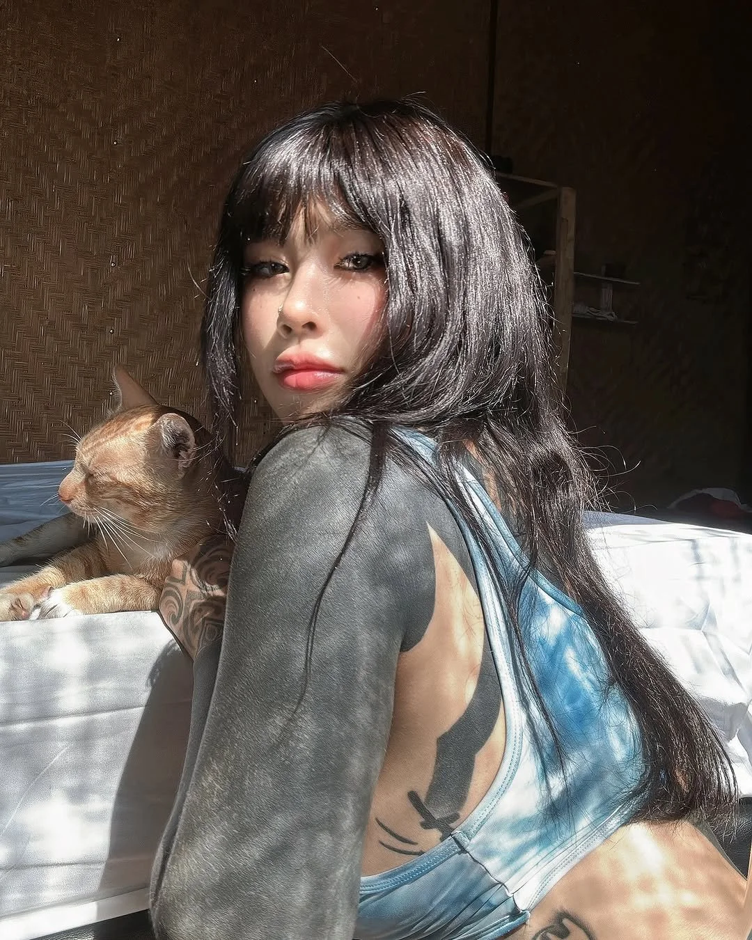 @bigcatmia image 17