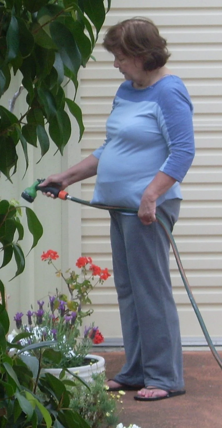 OLD WHORE WIFE image 4