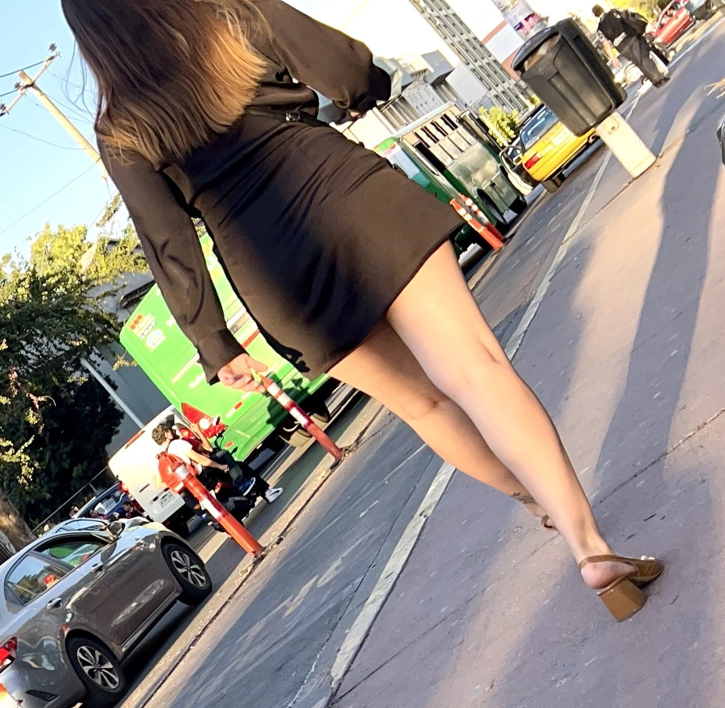 LLNM1 image 33