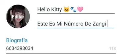 Escribanme en zangi estaré respondiendo 🩷🐾 cover image