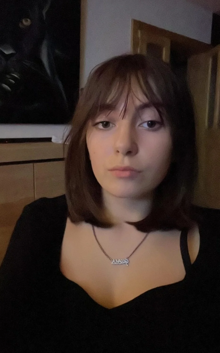 French thot. Vous êtes les bienvenus image 11