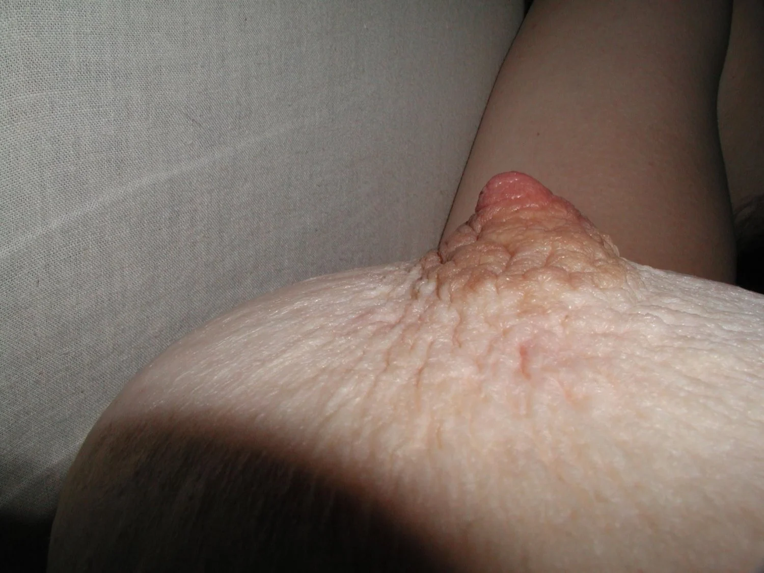 Big Granny image 5