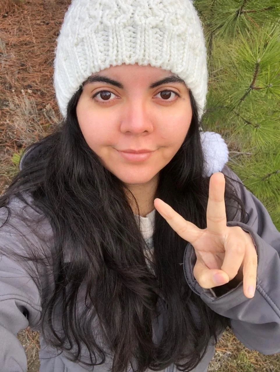PACK 350 (2/2) image 2
