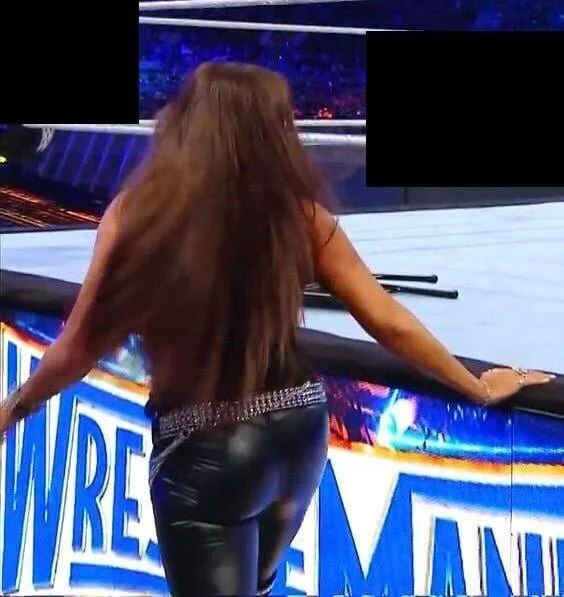 Stephanie McMahon image 16