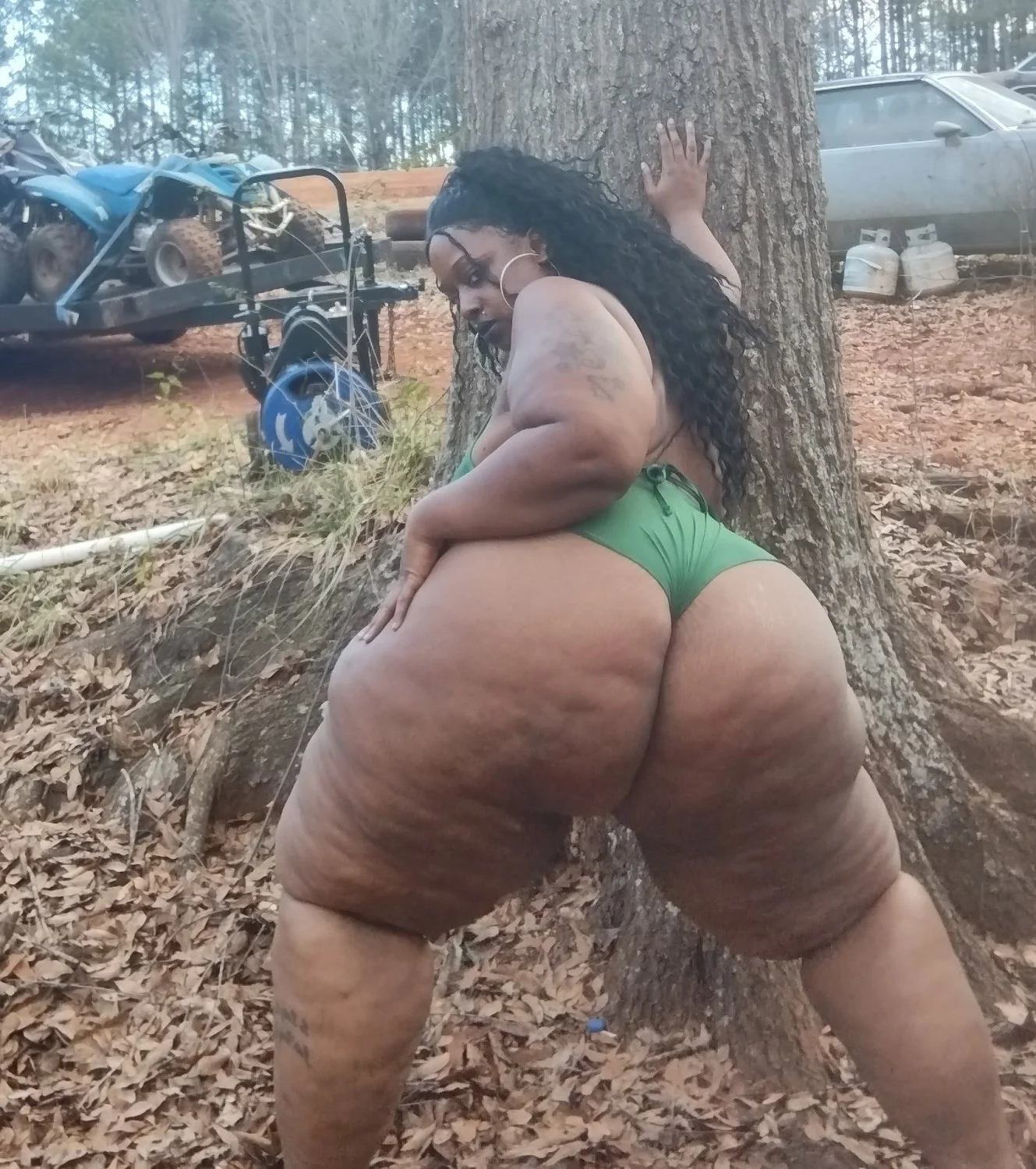 ass main image