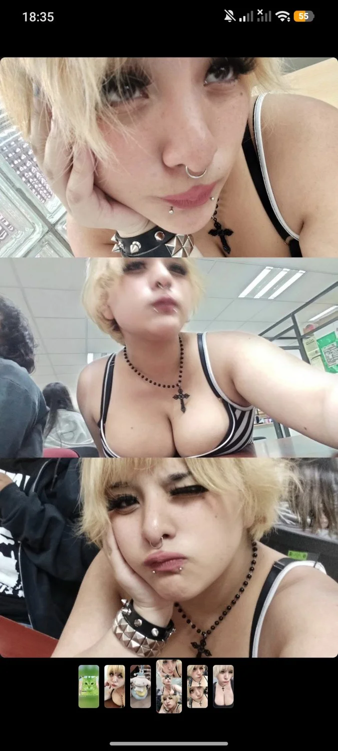 Zorra image 2